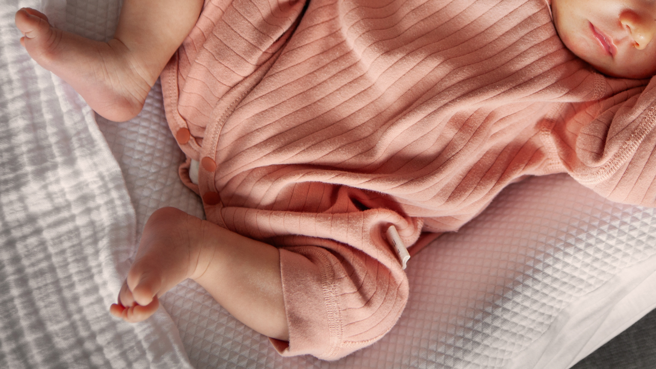 ネントレのやり方を3ステップで紹介