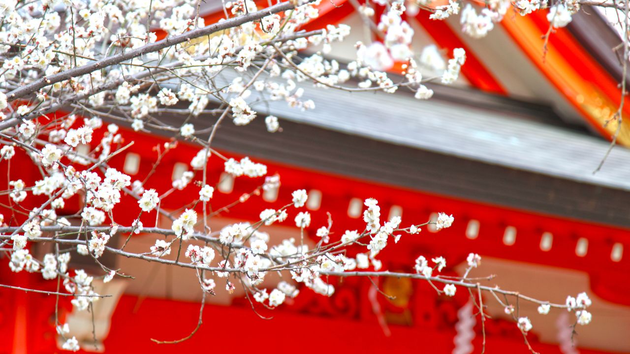 お宮参りはどこで行う?