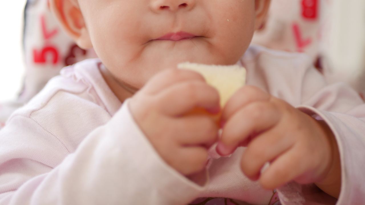手づかみ食べにおすすめの食べ物