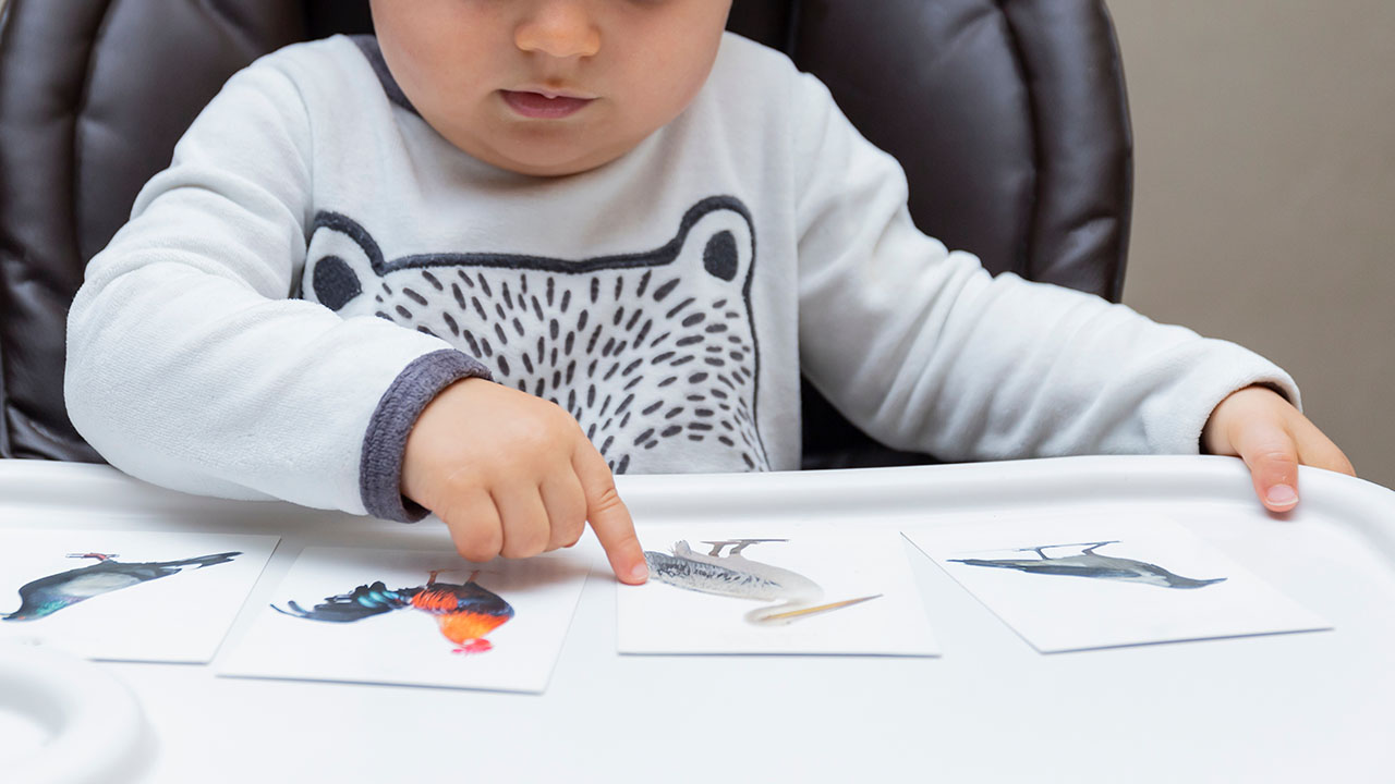 1歳半頃（1歳4ヶ月～1歳6ヶ月）は言葉の発達が著しい時期